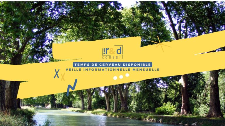 Temps de cerveau disponible_IRD conseil