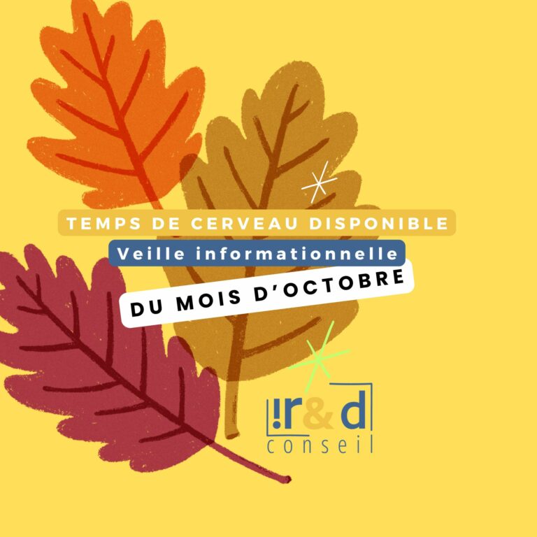Veille informationnelle mensuelle_octobre 2025_IRD conseil