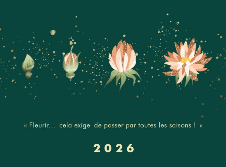 Bons voeux 2026_IRd conseil