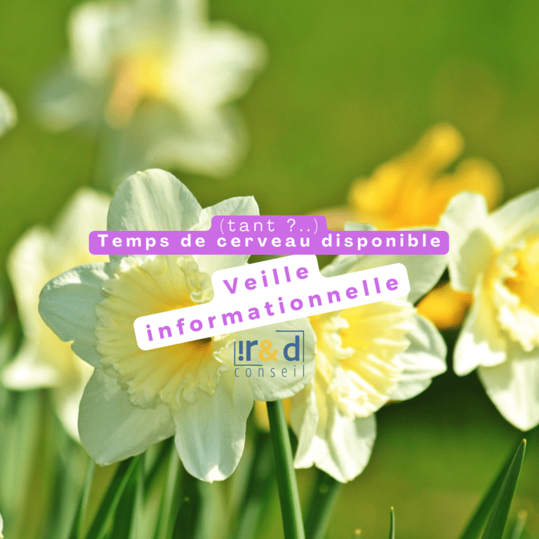 Veille informationnelle mensuelle_mars_8_IRD conseil